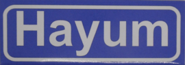 Koelkastmagneet plaatsnaambord Hayum