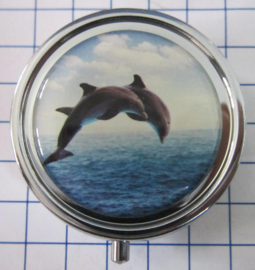 PIL 388 springende dolfijnen