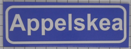 Koelkastmagneet plaatsnaambord Appelskea