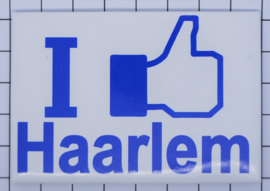 koelkastmagneet Haarlem N_NH5.007