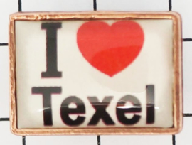 PIN_NH3.001 pin I love Texel