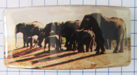 HAR507 Uitstekende kwaliteit Haarspeld olifanten