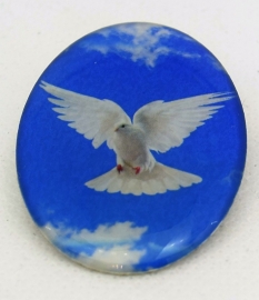 broche  witte duif , leuk voor bruiloft  EAN 0087184815231  BRO 510 geplaatst