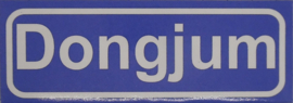 Koelkastmagneet plaatsnaambord Dongjum