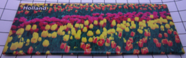 koelkastmagneet Tulpen 21.106