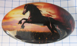 Haarspeld ovaal 8cm HAO512 zwart paard zonsondergang, made in France haarklem, beste kwaliteit