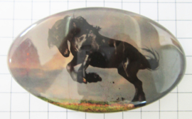 HAO515 Haarspeld ovaal 8 cm steigerend / bokkend zwart paard, made in france barette