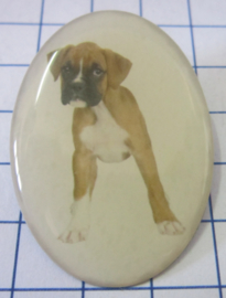 broche hond boxer BRO506