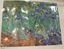 grote gelamineerde poster irissen, Vincent van Gogh, pakketpost
