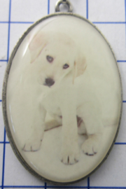 Ketting met verzilverde hanger hond puppie wit HAN517