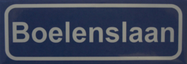 Koelkastmagneet plaatsnaambord Boelenslaan