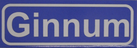 Koelkastmagneet plaatsnaambord Ginnum