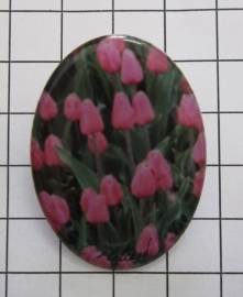 BRO 605 broche roze tulpenveld