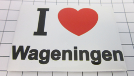 koelkastmagneet I ♥ Wageningen N_GE3.001