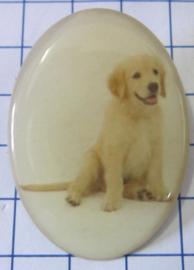 Broche hond BRO526