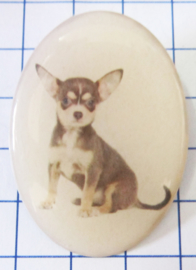 broche hond BRO507