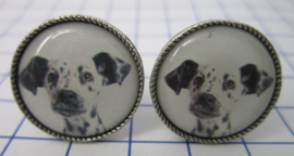 Manchetknopen verzilverd Dalmatier MAK031