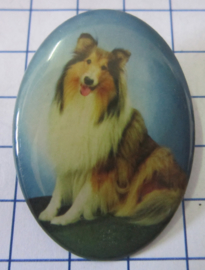 Broche hond waarschijnlijk Border Collie BRO524