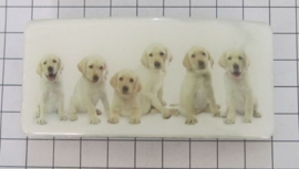 Haarspeld rechthoek golden retriever hondjes HAR502, made in France haarpin, beste kwaliteit, klemt uitstekend.