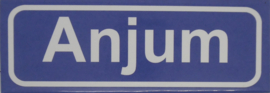 Koelkastmagneet plaatsnaambord Anjum