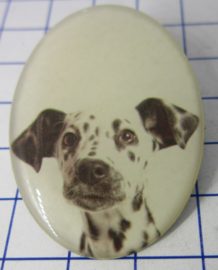 Broche hond Dalmatier BRO525