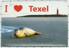 koelkastmagneet Texel N_NH3.010