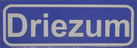 Koelkastmagneet plaatsnaambord Driezum