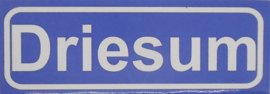Koelkastmagneet plaatsnaambord Driesum