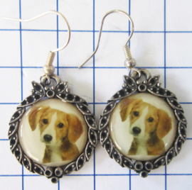oorbellen van tin, nikkelvrij en zwaar verzilverd met afbeelding hond