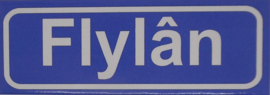 Koelkastmagneet plaatsnaambord Flylân