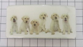 HAR502 haarspeld rechthoek honden puppies wit 8 cm speld