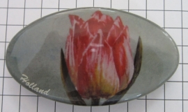 Haarspeld ovaal 8cm HAO 309 roze geschilderde tulp, made in France haarclip, beste kwaliteit, klemt uitstekend.