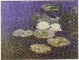  Kwaliteitsposter 35 x 45 cm Claude Monet - witte waterlelies, pakketpost