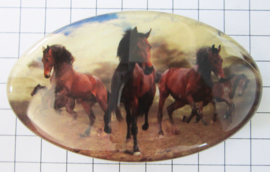HAO513 Haarspeld ovaal 8 cm met groep mooie bruine paarden op zandgrond, made in France haarklauw