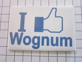 133 Magneet I like Wognum