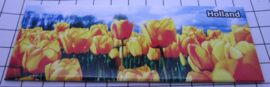 koelkastmagneet Tulpen 21.104