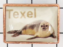 PIN_NH3.002 pin Texel