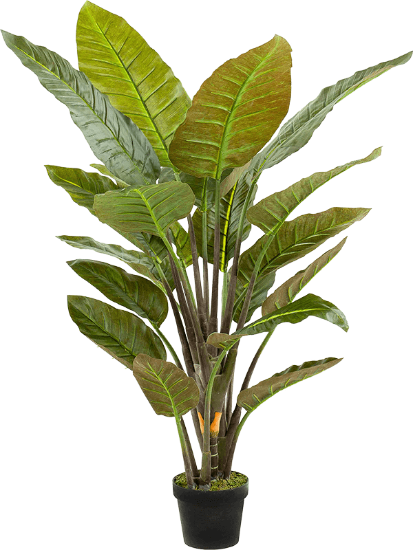 Strelitzia kunstplant (Paradijsvogelplant) H135 x B90 cm