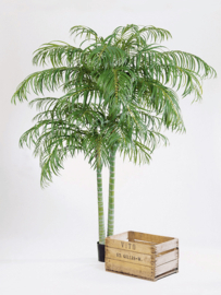 Areca palmboom kunstplant - hoogte 210 cm