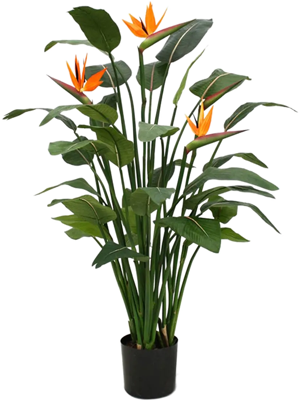 Strelitzia Nicolai kunstplant (Paradijsvogelplant) H140 x B110 cm
