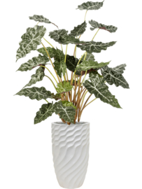 Alocasia (Olifantsoor) kunstplant - hoogte 110 cm