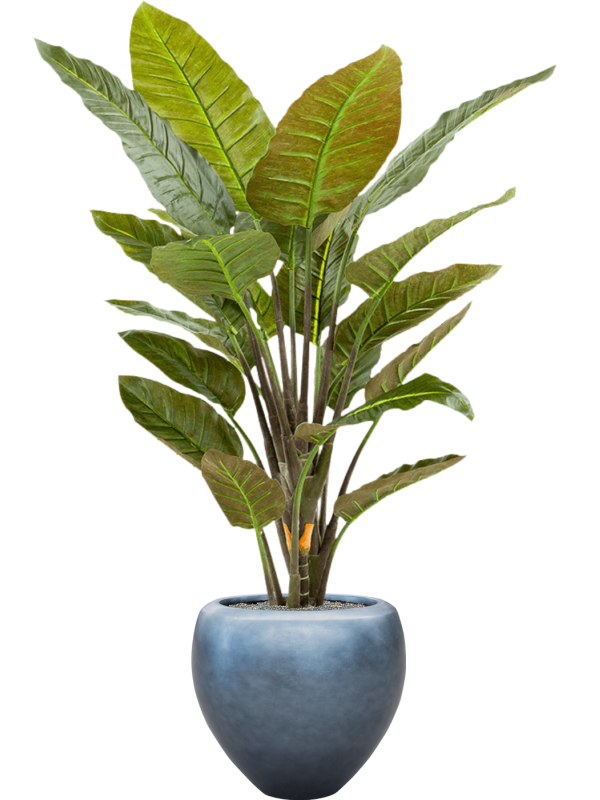 Strelitzia kunstplant (Paradijsvogelplant) H135 x B90 cm