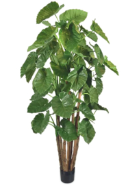 Alocasia Calidora (Olifantsoor) kunstplant - hoogte 210  x breedte 110 cm