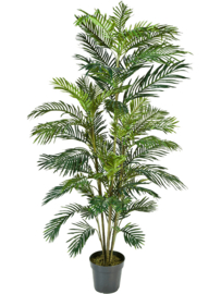 Areca palmboom kunstplant - hoogte 180 cm