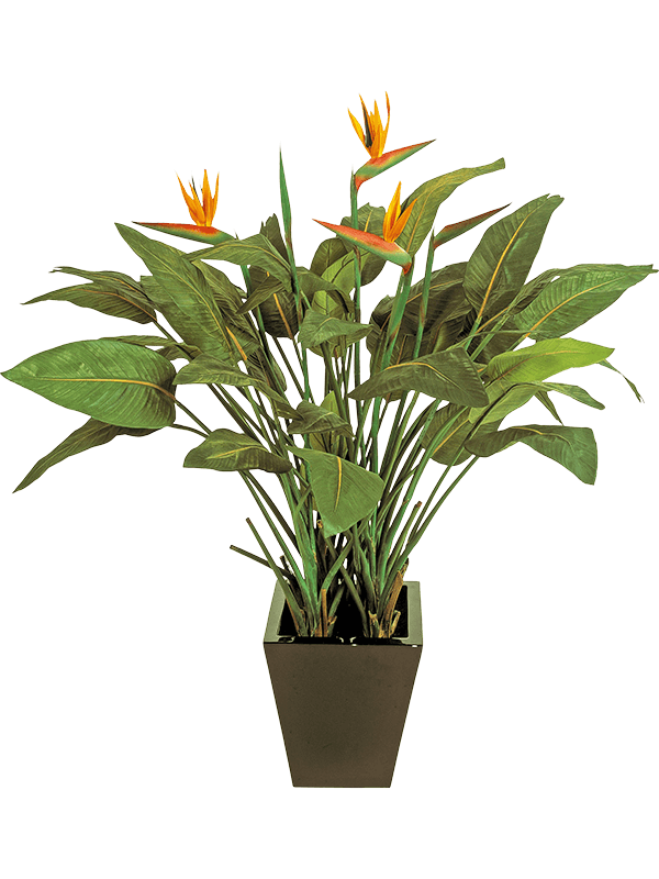 Strelitzia kunstplant (Paradijsvogelplant) H130 x B100 cm