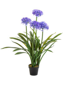 Agapanthus blue (Afrikaanse lelie) kunstplant inclusief pot - hoogte 103 cm