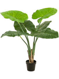 Alocasia (Olifantsoor) kunstplant - hoogte 90 cm