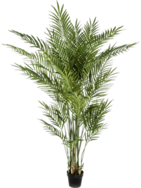 Areca palmboom kunstplant - hoogte 170 cm