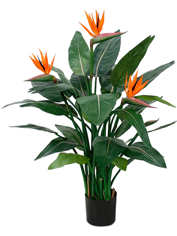 Strelitzia kunstplant (Paradijsvogelplant) H115 x B80 cm
