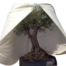 AKTIEPAKKET Beschermhoes XXXL 70 g/m + 24 meter warmtesnoer (met thermostaat)